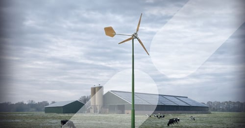 Kleine windmolen of zonnepanelen? De juiste energiekeuze voor jouw bedrijf in de winter