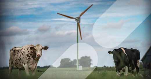 Subsidie windmolens voor bedrijven: wat zijn de mogelijkheden in Nederland?