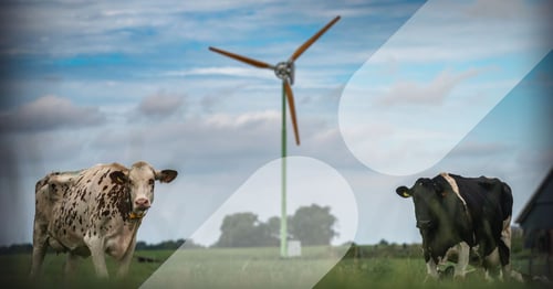 Subsidie windmolens voor bedrijven: wat zijn de mogelijkheden in Nederland?