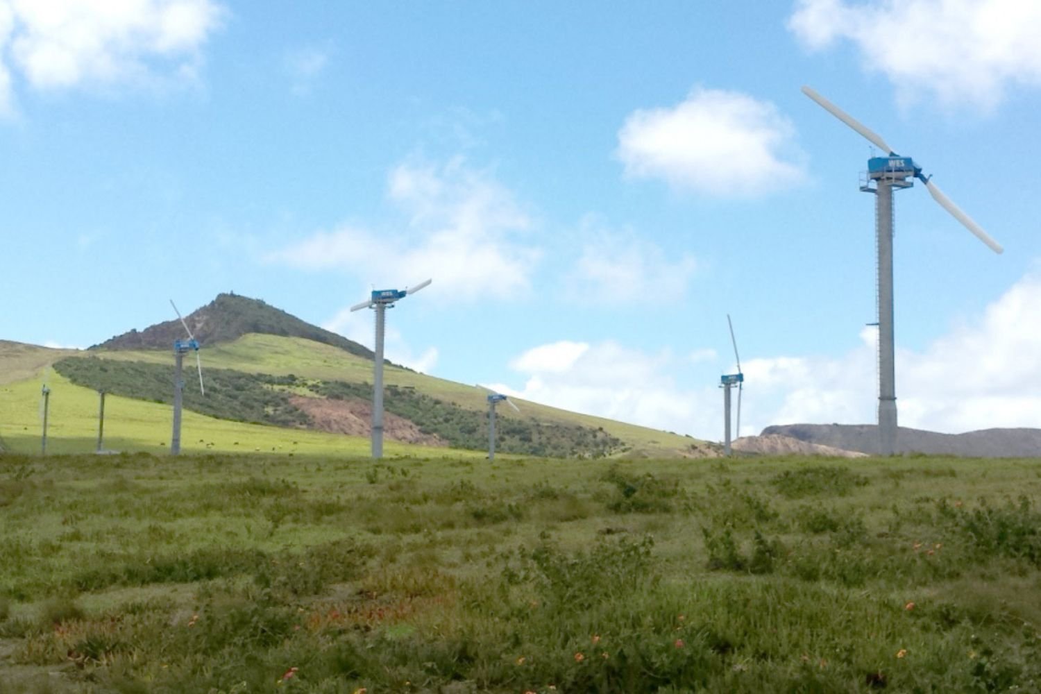 WES - Ecoways Migration - St Helena Case Study - 1