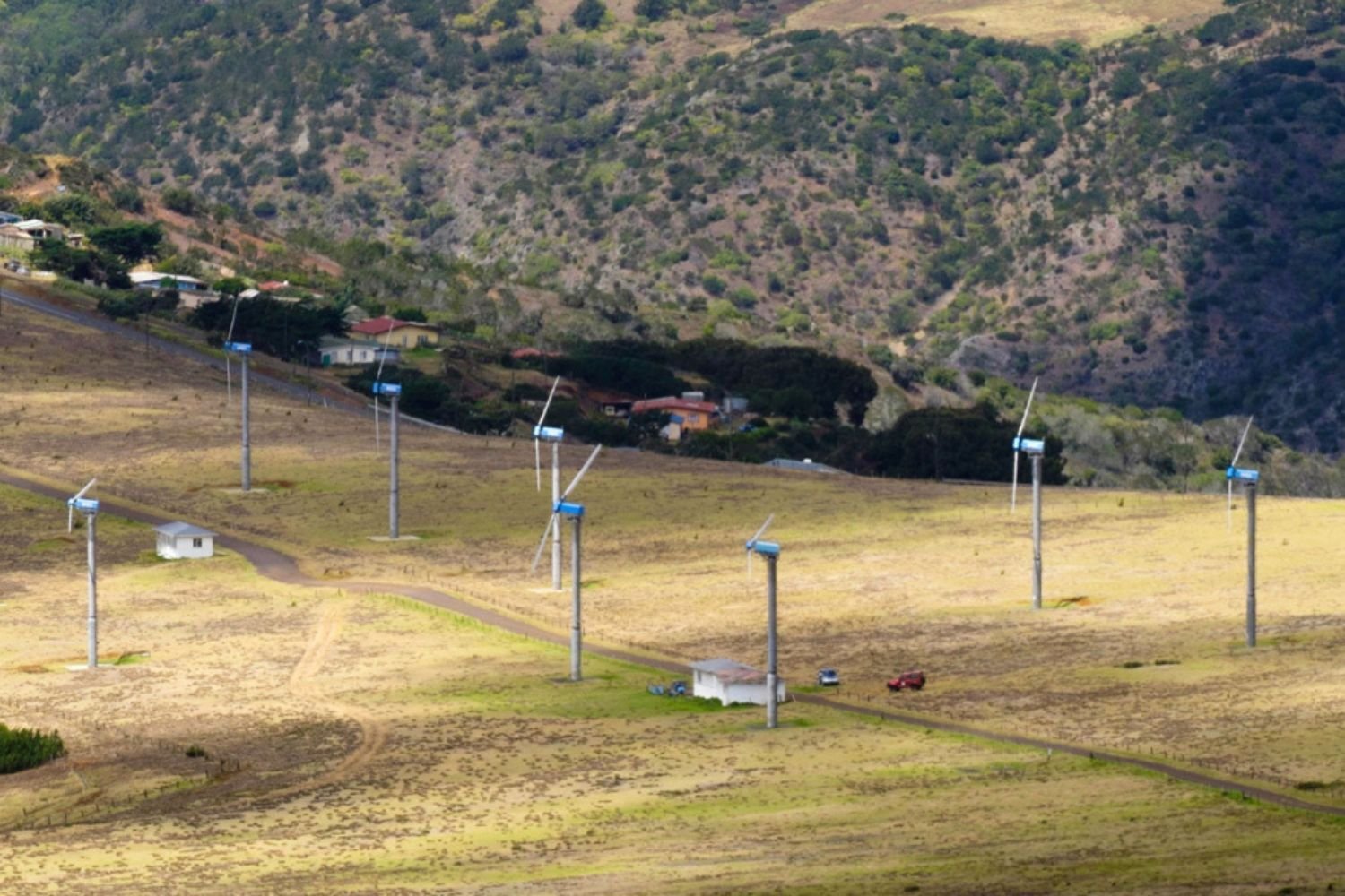 WES - Ecoways Migration - St Helena Case Study - 2